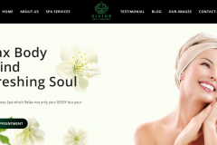 Divine Soul & Wellness Spa